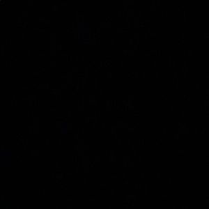 Meet your Posher, Fiona